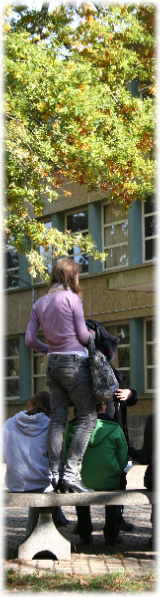 Visite virtuelle