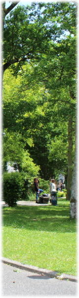 Parc